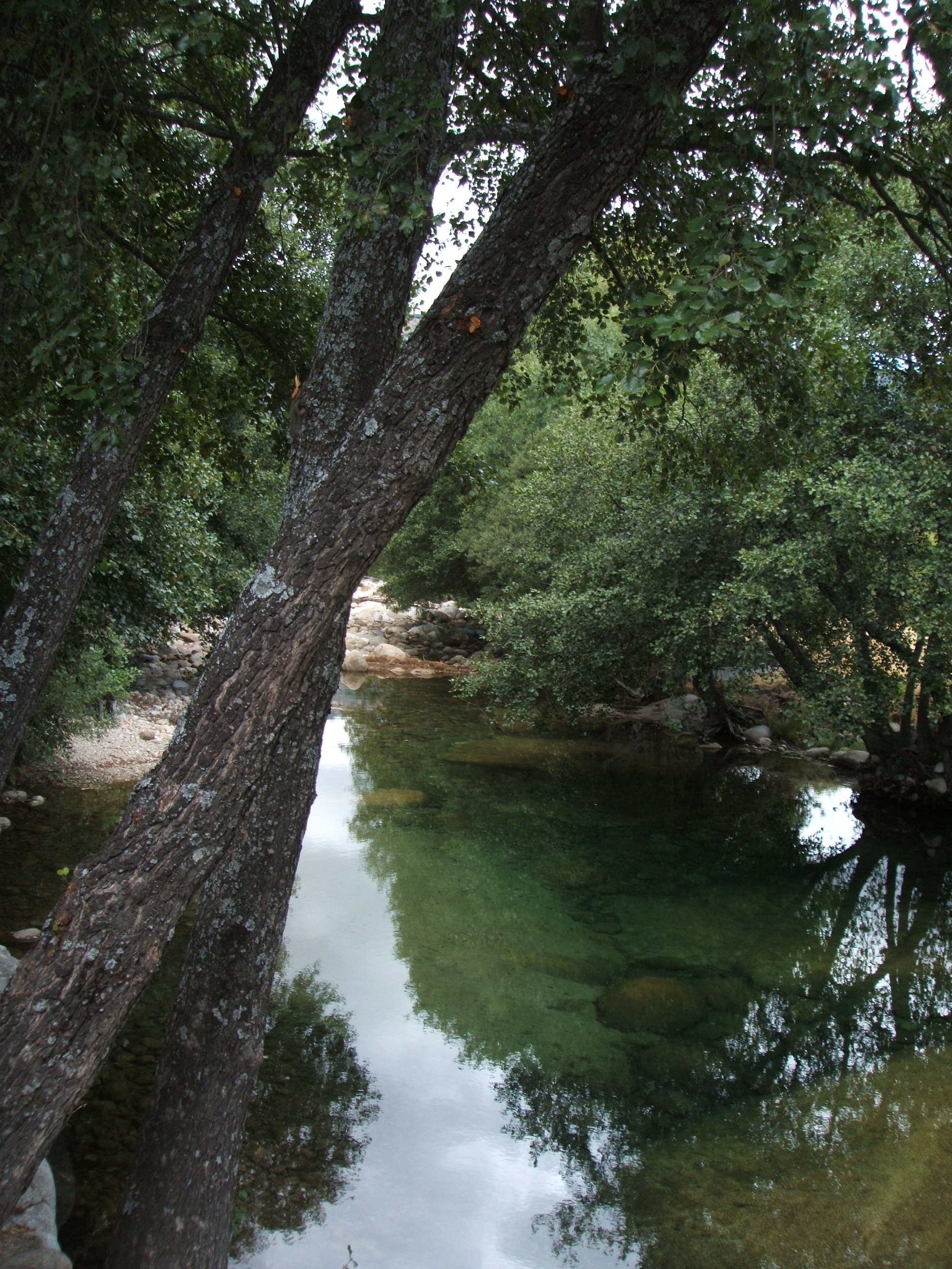 Garganta de Bohoyo