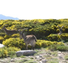 Hotel Mirador de Gredos