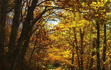 Redescubre el otoño en la Sierra de Gredos